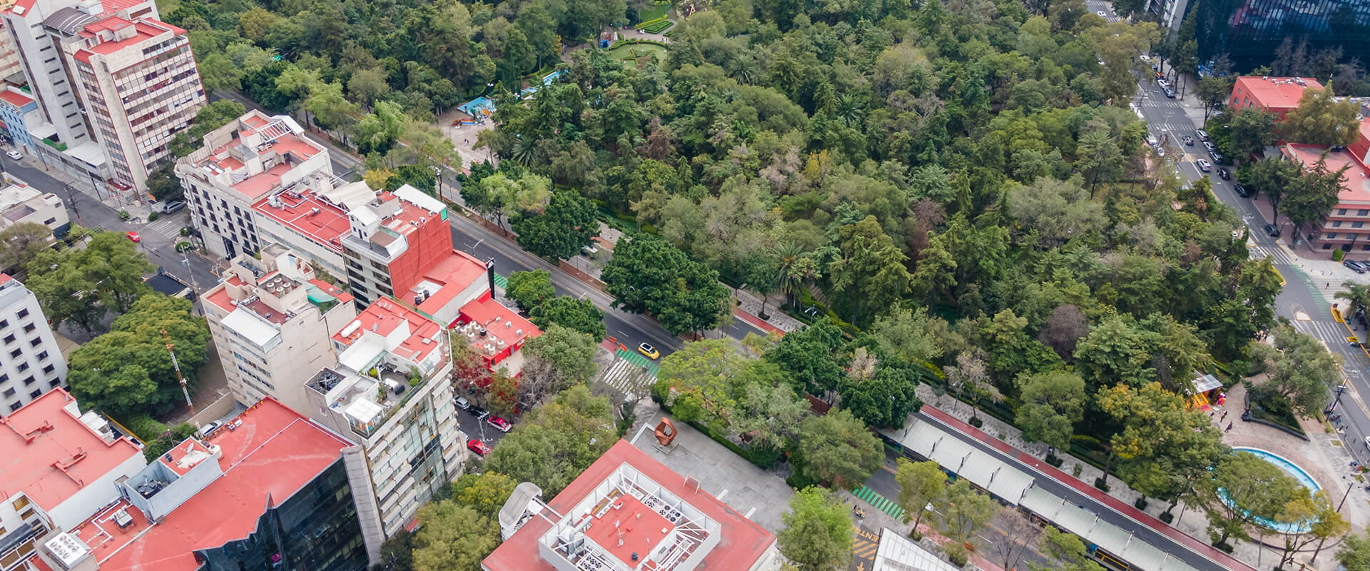 5 Ventajas de vivir en el sur de la Ciudad de México